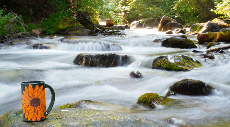 Handmade Stoneware Ceramic Mug with carved sgraffito Sunflower design